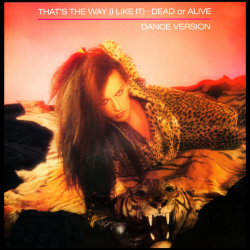 Dead Or Alive – That's The Way (I Like It) Dance Version (PROMO) - Виниловые пластинки, Интернет-Магазин "Ультра", Екатеринбург  