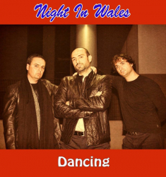 Night In Wales – Dancing - Виниловые пластинки, Интернет-Магазин "Ультра", Екатеринбург  