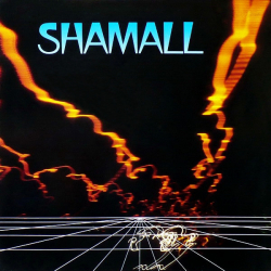 Shamall – Feeling Like A Stranger - Виниловые пластинки, Интернет-Магазин "Ультра", Екатеринбург  