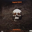 Funkadelic - Maggot Brain - Виниловые пластинки, Интернет-Магазин "Ультра", Екатеринбург  