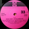 Mungo Jerry - In The Summertime - Виниловые пластинки, Интернет-Магазин "Ультра", Екатеринбург  
