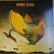 Rare Bird - Rare Bird - Виниловые пластинки, Интернет-Магазин "Ультра", Екатеринбург  