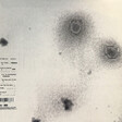 Nine Inch Nails – Bad Witch - Виниловые пластинки, Интернет-Магазин "Ультра", Екатеринбург  