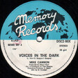 Mike Cannon – Voices In The Dark - Виниловые пластинки, Интернет-Магазин "Ультра", Екатеринбург  