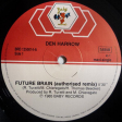 Den Harrow – Future Brain (Authorized Remix) - Виниловые пластинки, Интернет-Магазин "Ультра", Екатеринбург  