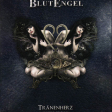 Blutengel – Tranenherz (Box, Deluxe) - Виниловые пластинки, Интернет-Магазин "Ультра", Екатеринбург  