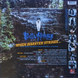 Busta Rhymes – When Disaster Strikes... (Limited Edition, Silver, 25th Anniversary) - Виниловые пластинки, Интернет-Магазин "Ультра", Екатеринбург  