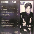 Blue System – Here I Am - Виниловые пластинки, Интернет-Магазин "Ультра", Екатеринбург  