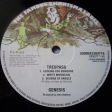 Genesis – Trespass - Виниловые пластинки, Интернет-Магазин "Ультра", Екатеринбург  