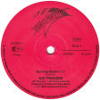 Kay Franzes – Burning Desire (Hot Burning Mix) - Виниловые пластинки, Интернет-Магазин "Ультра", Екатеринбург  