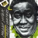 Мадди Уотерс - Muddy Waters - Виниловые пластинки, Интернет-Магазин "Ультра", Екатеринбург  