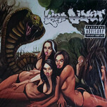 Limp Bizkit – Gold Cobra - Виниловые пластинки, Интернет-Магазин "Ультра", Екатеринбург  