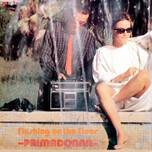 Primadonna – Flashing On The Floor - Виниловые пластинки, Интернет-Магазин "Ультра", Екатеринбург  