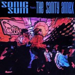 Sonic Sum – The Sanity Annex - Виниловые пластинки, Интернет-Магазин "Ультра", Екатеринбург  
