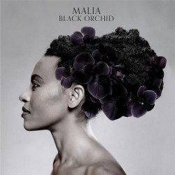 Malia - Black Orchid - Виниловые пластинки, Интернет-Магазин "Ультра", Екатеринбург  