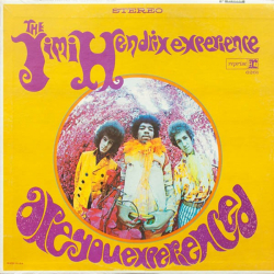 The Jimi Hendrix Experience - Are You Experienced? - Виниловые пластинки, Интернет-Магазин "Ультра", Екатеринбург  