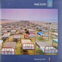 Pink Floyd – A Momentary Lapse Of Reason - Виниловые пластинки, Интернет-Магазин "Ультра", Екатеринбург  