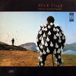 Pink Floyd - Delicate Sound Of Thunder - Виниловые пластинки, Интернет-Магазин "Ультра", Екатеринбург  