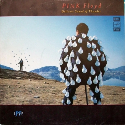 Pink Floyd - Delicate Sound Of Thunder - Виниловые пластинки, Интернет-Магазин "Ультра", Екатеринбург  