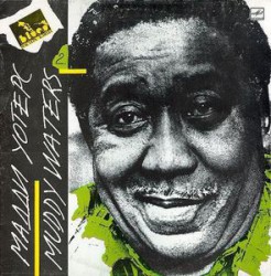 Мадди Уотерс - Muddy Waters - Виниловые пластинки, Интернет-Магазин "Ультра", Екатеринбург  