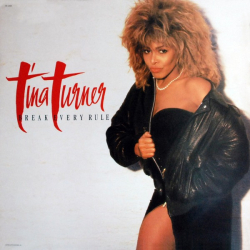 Tina Turner – Break Every Rule - Виниловые пластинки, Интернет-Магазин "Ультра", Екатеринбург  
