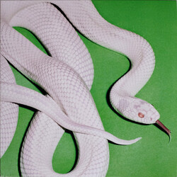 Deftones – Private Music - Виниловые пластинки, Интернет-Магазин "Ультра", Екатеринбург  