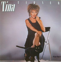 Tina Turner – Private Dancer - Виниловые пластинки, Интернет-Магазин "Ультра", Екатеринбург  