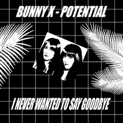 Bunny X – Potential / I Never Wanted To Say Goodbye - Виниловые пластинки, Интернет-Магазин "Ультра", Екатеринбург  