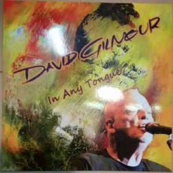 David Gilmour – In Any Tongue (Coloured) - Виниловые пластинки, Интернет-Магазин "Ультра", Екатеринбург  