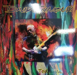 David Gilmour – Today In LA (Coloured) - Виниловые пластинки, Интернет-Магазин "Ультра", Екатеринбург  