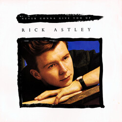 Rick Astley – Never Gonna Give You Up - Виниловые пластинки, Интернет-Магазин "Ультра", Екатеринбург  